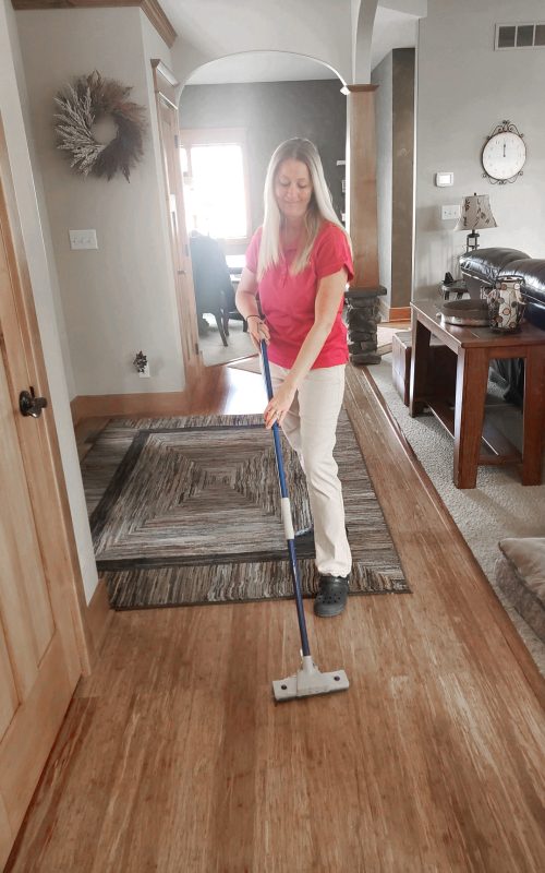 house cleaning port clinton