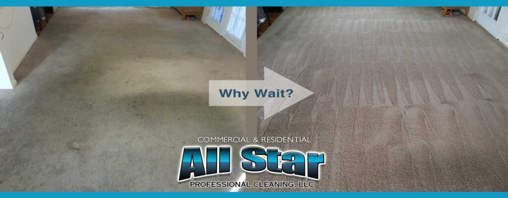carpet cleaning why wait
