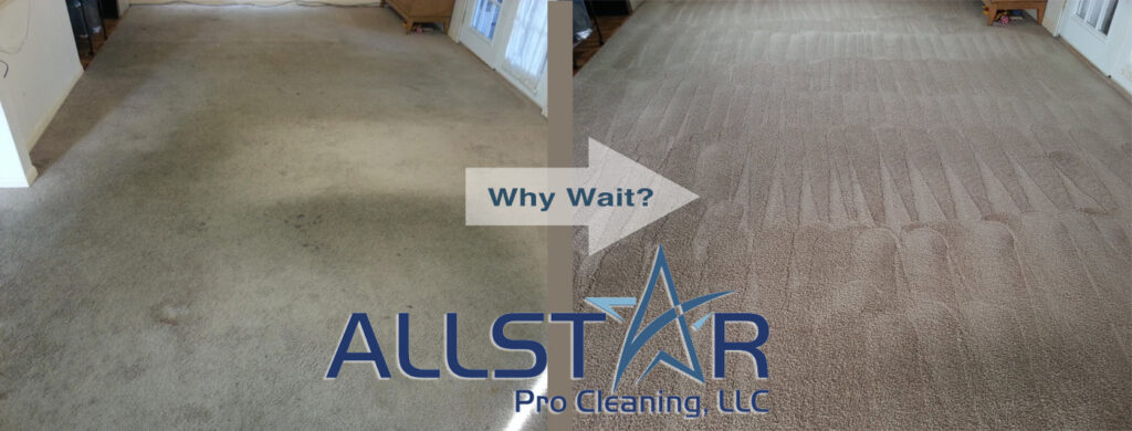 carpet cleaning bowling green port clinton